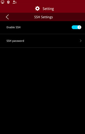 Опция Разрешить службу SSH Опция Разрешить службу SSH